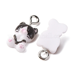 Подвески из непрозрачной смолы RESI-P045-05P-M