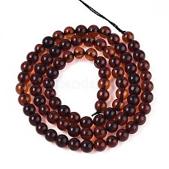 Янтарные шарики нити G-K387-D01-02