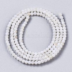 Нити бусин из натуральных пресноводных ракушек&nbsp;X-BSHE-T009-01F