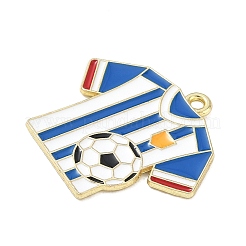 Подвески из эмали и сплава&nbsp;ENAM-I075-01G-07