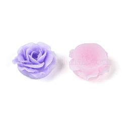 Непрозрачная смола декодирует кабошоны&nbsp;RESI-N052-02