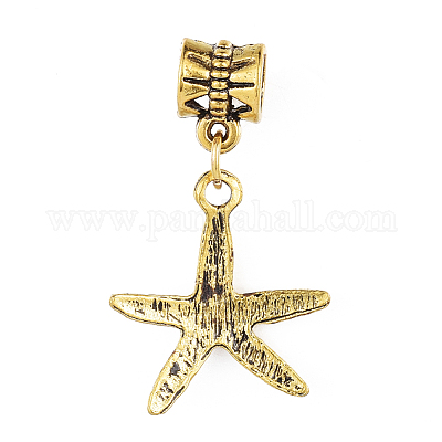 Европейские подвески из сплава в тибетском стиле PALLOY-I181-062AG-1