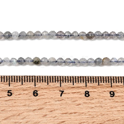 Природные лабрадорита бисер нитей G-RM250104-E8-1