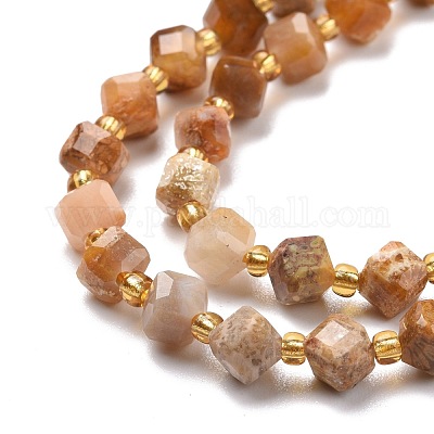 Природные окаменелые коралловые бусы пряди G-P463-48-1