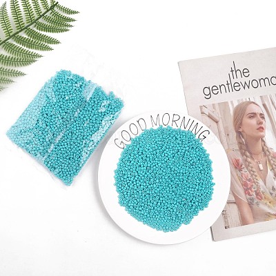 Выпечка краска стеклянные бусины SEED-S003-K10-1