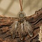Ethnic Style Alloy & Wood Woven Web/Net with Feather Big Pendant Faux Suede Cord Necklaces for Women, Antique Bronze, Flower, 15.75 inch(40cm), pendant: 100x40mm