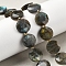 Natural Labradorite Beads Strands, Faceted Hexagonal Cut, Flat Round, with Seed Beads, 15x5.5mm, Hole: 1mm, about 22pcs/strand, 15.31''(38.9cm)