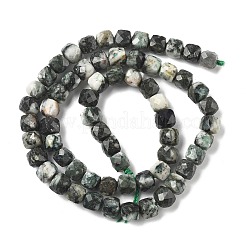 Натурального дерева агат бисер нитей G-H078-C48-6mm