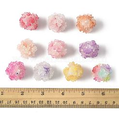 10шт 10 цвета бусины из смолы RESI-FS0002-24B