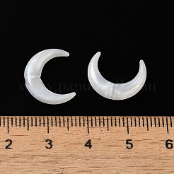 Акриловые бусины OACR-H042-06B