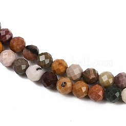 Бусы из натурального алашанского агата&nbsp;G-C181-B05-02-01