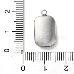 Подвески из акрила из нержавеющей стали 304&nbsp;STAS-M091-02C-P