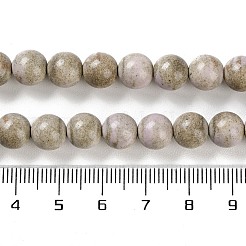 Натуральные бусины из радужного алашанского агата&nbsp;G-NH0022-A09-02