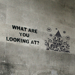 Трафареты для рисования домашних животных DIY-WH0391-0998