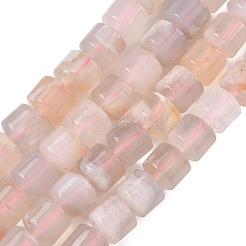 Натуральные вишневые агатовые бусины&nbsp;G-C270-H01