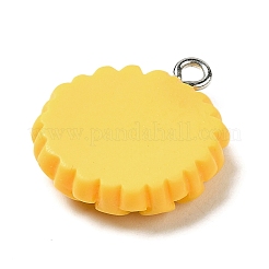 Подвески из непрозрачной смолы&nbsp;LS-FIND-H045-01A