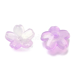 Акриловый шарик крышки OACR-I024-01H