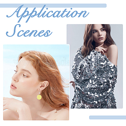 192 г подвески из ПВХ с пайетками 4 цветов&nbsp;PVC-DC0001-01