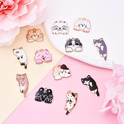 12шт 12 стиля подвески из сплава с эмалью&nbsp;FIND-YW0006-62