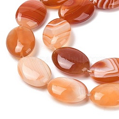 Натуральные полосатые агатовые / полосатые агатовые бусинки G-Q182-01D