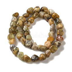 Природные желтые мох агат бисер пряди G-B078-D13-01