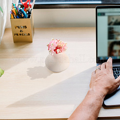 50шт 5 цвета бусины лэмпворк ручной работы LAMP-TA0001-22