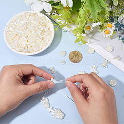 480 шт.&nbsp;OACR-SC0002-63