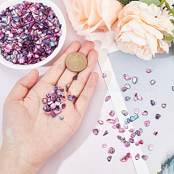 1 пакетик хлопьев раковины абалон кабошоны SHEL-GA0001-17B