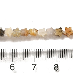 Натуральные сумасшедшие кружевные агатовые бусины&nbsp;G-G085-B39-01