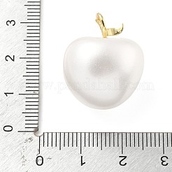 Оболочки жемчужина подвески KK-H002-10C-G-RS