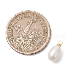 Подвески из натурального пресноводного жемчуга&nbsp;PALLOY-JF05170-02