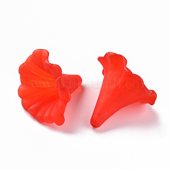 Прозрачные акриловые бусины&nbsp;BSF796M