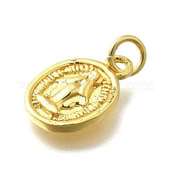 Латунные подвески&nbsp;KK-D295-27G-01