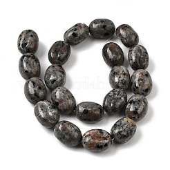 Натуральный флуоресцентный сиенитовый камень (светящийся в ультрафиолетовом свете) бусины нити G-K362-D02-03