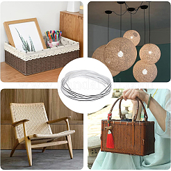 Пластиковый имитация трости проволочный шнур WCOR-GF0001-03B