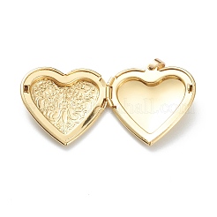 Подвески латуни медальон&nbsp;X-KK-P199-20G