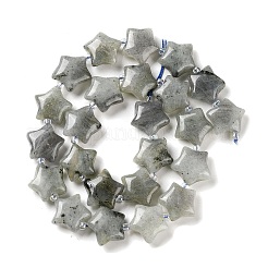 Природные лабрадорита бисер нитей G-NH0005-020