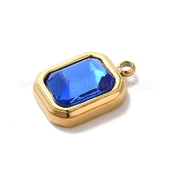 Подвески из стекла из нержавеющей стали 304&nbsp;STAS-L022-062G-07