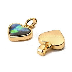 Подвески в форме сердца из натуральной ракушки пауа KK-G538-20G