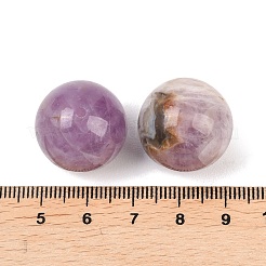 Бусины из натурального аметиста и кружевного агата&nbsp;G-K381-06A