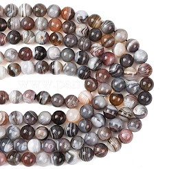 Природные Ботсвана агат бисер нитей&nbsp;G-G453-A01-10mm