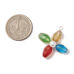 Стеклянные подвески PALLOY-TA00320