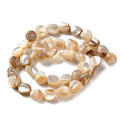 Нити бусин из натуральной ракушки трохус SHEL-G020-02