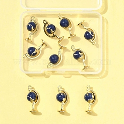 10шт подвески из эмалированного сплава с покрытием из светлого золота&nbsp;ENAM-FS0003-10