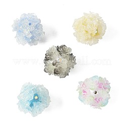 10шт 10 цвета бусины из смолы RESI-FS0002-24A