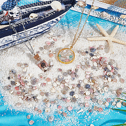 Мини-бусины из натуральных ракушек BSHE-PH0001-57B