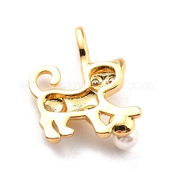 Покрытие стойки латунь микропаве прозрачные подвески из кубического циркония ZIRC-C032-01G