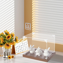 Прозрачные акриловые витрины AJEW-WH0475-57