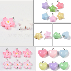 60шт 3 стиля непрозрачные подвески из смолы&nbsp;FIND-SC0036-62