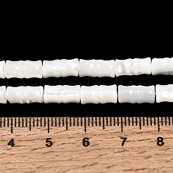 Нити бусин из натуральных трохоидных/трохус ракушек&nbsp;SHEL-A006-06A